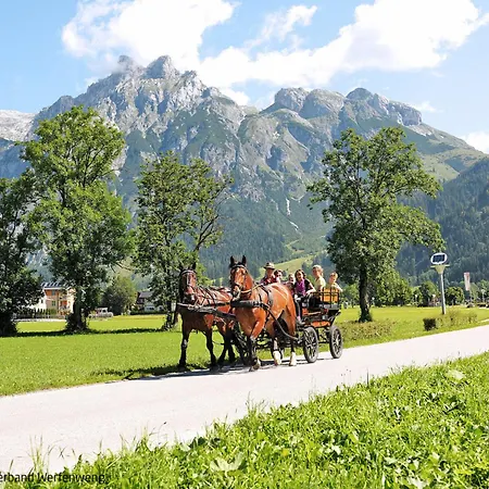 Gipfelstuermer By Interhome Pfarrwerfen