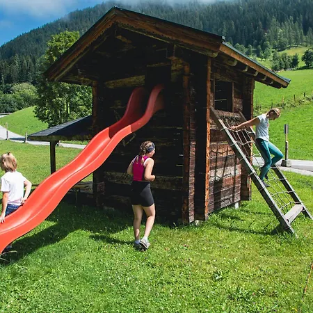 Gipfelstuermer By Interhome Apartment Pfarrwerfen